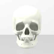 Skull with pen cap hole