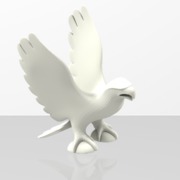 acquila