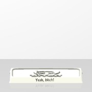 Jesse Pinkman coaster