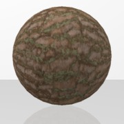 Bille 05