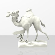Camel
