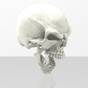 Screaming Skull Chit