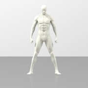 homme435-wob-tbp
