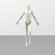 homme443-wob-tbp