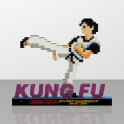 Kung fu nes 2
