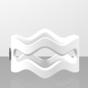 RiNG_DynaMa_V1