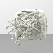 Bonzai_2_Test_02