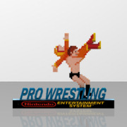 Pro Wrestling