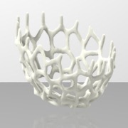 Corals on your desk