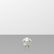 Onager