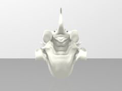 CATFROG