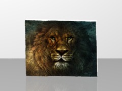 LION KING 3D