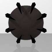 Shield