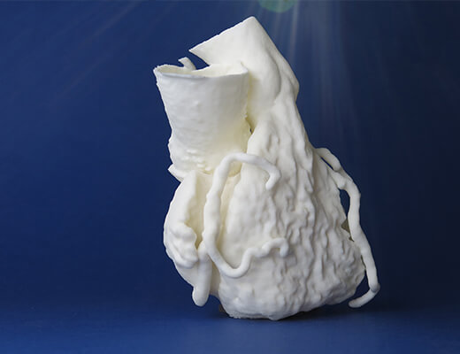 Flexible Plastic heart in TPU by Sculpteo_material page