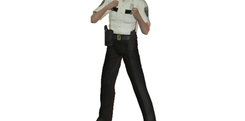 /media/picture/original/patrol-fight-stance_size_833x413..png