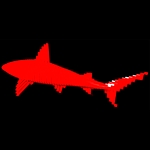 /media/picture/original/red-shark-2_size_410..jpg