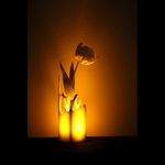 /media/picture/original/splash-vase_dark_carre_1_size_410..jpg