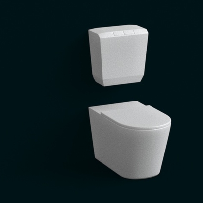 Flush Toilet 04