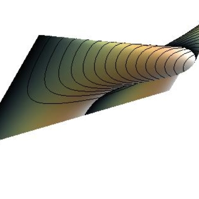 RamphoidWing4Long