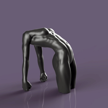 female musculature study # 04