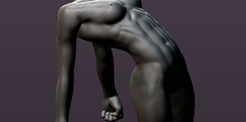 /media/picture/thumb/2013/03/30/VEjO/female-musculature-study-04-_render-01_size_833x413..jpg