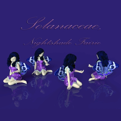 Solanaceae, Nightshade Faerie