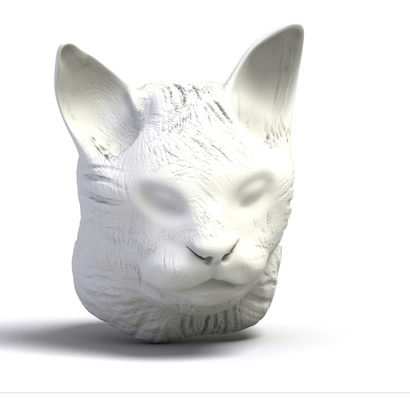 tête de chat