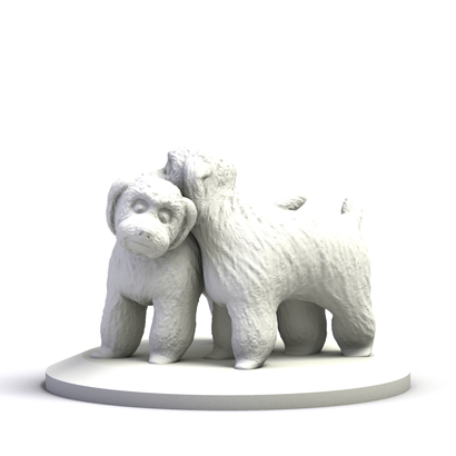 Bichons