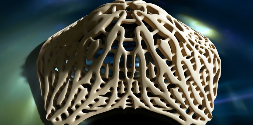 /media/picture/thumb/2013/12/17/JdtM/untitled-project-9_size_833x413..jpg