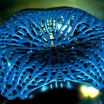 /media/picture/thumb/2013/12/17/nWDV/untitled-project-2_thumbnail_squared_small..jpg