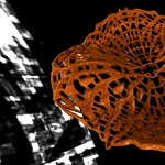 /media/picture/thumb/2013/12/17/xcUX/untitled-project-3_thumbnail_squared_small..jpg