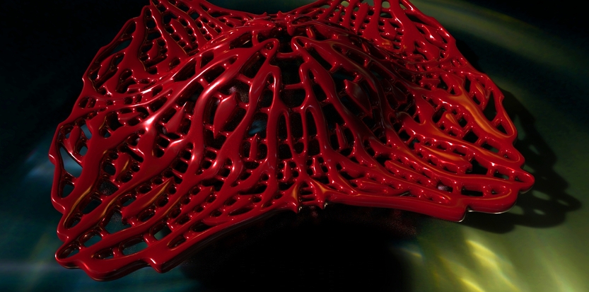 /media/picture/thumb/2013/12/17/zHBw/untitled-project-5_size_833x413..jpg