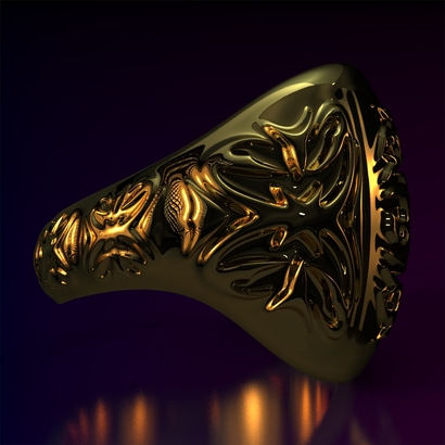 Ring_Osar15Ocam14FR001