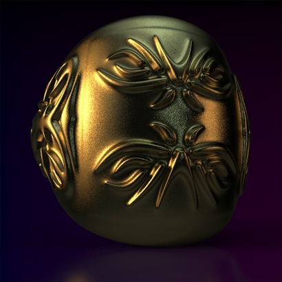 Ring_Osar15Ocam12FR001