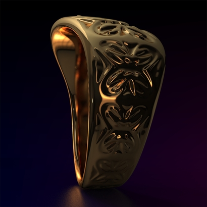 Ring_Osr15Ocam12FR002