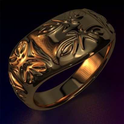 Ring_Osar15Ocam12FR002