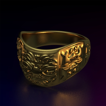 Ring_Osr2iOcam14FR002