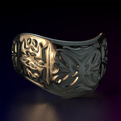 Ring_Osr2iOcam15FR002