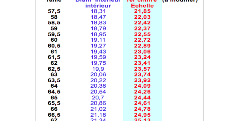/media/picture/thumb/2014/06/04/fqxd/tableau-taille_size_833x413..png