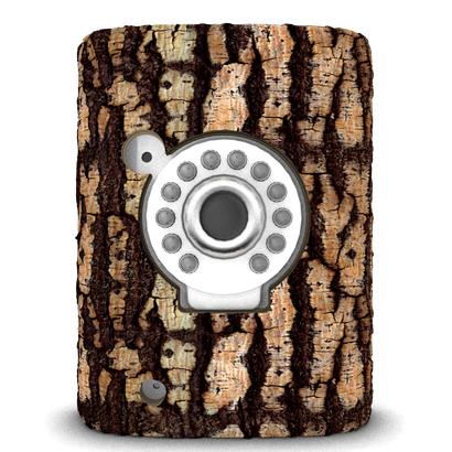 Coque arbre