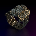 /media/picture/thumb/2014/06/19/PWPh/my_jewelry_size_410..jpg