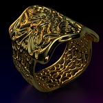 /media/picture/thumb/2014/06/20/IjfG/my_jewelry_size_410..jpg