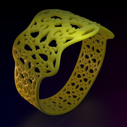 PA_Bracelet_d50_Pe51rmA10m12M30T2FR011-X-plastic