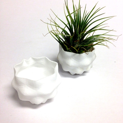planter-t