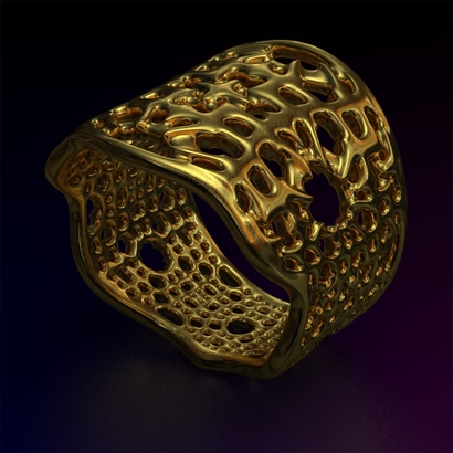 PA_Ring_d18_SE87a20m7M18T1FR004-wax