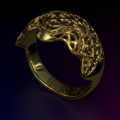 PAW_Ring_d15.5_SE83U140a20m033M10T1FR006-wax