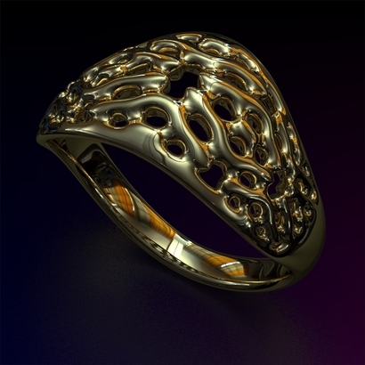 PAW_Ring_d15.5_PE14s2U130a20m026M10T1FR331-wax