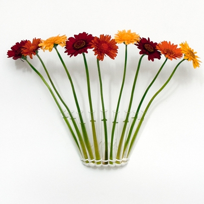 Test Tube Vase - Nine