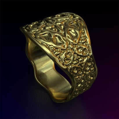 PA_Ring_d21_SEa66a10m6M14T1FR022-lite-wax