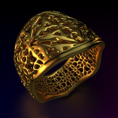 PAf_Ring_d17_sPE202s1cSE79a10m6M14T1FR041-wax